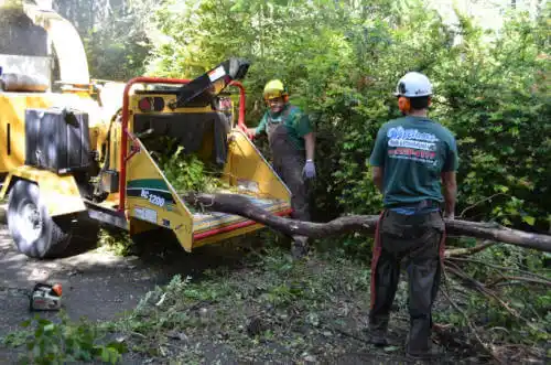 tree services Lake Mills